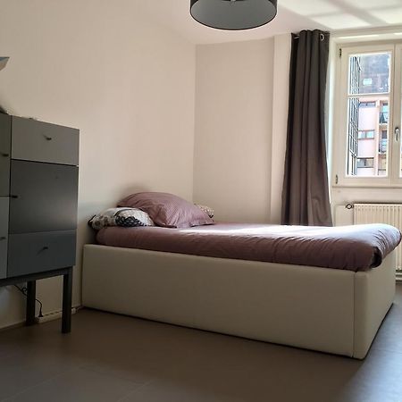 Appartement Des Moulins Strasbourg Kültér fotó