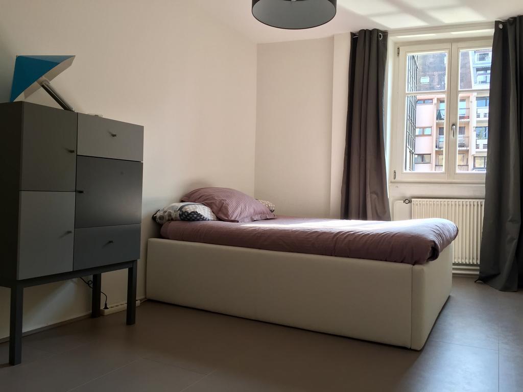 Appartement Des Moulins Strasbourg Kültér fotó