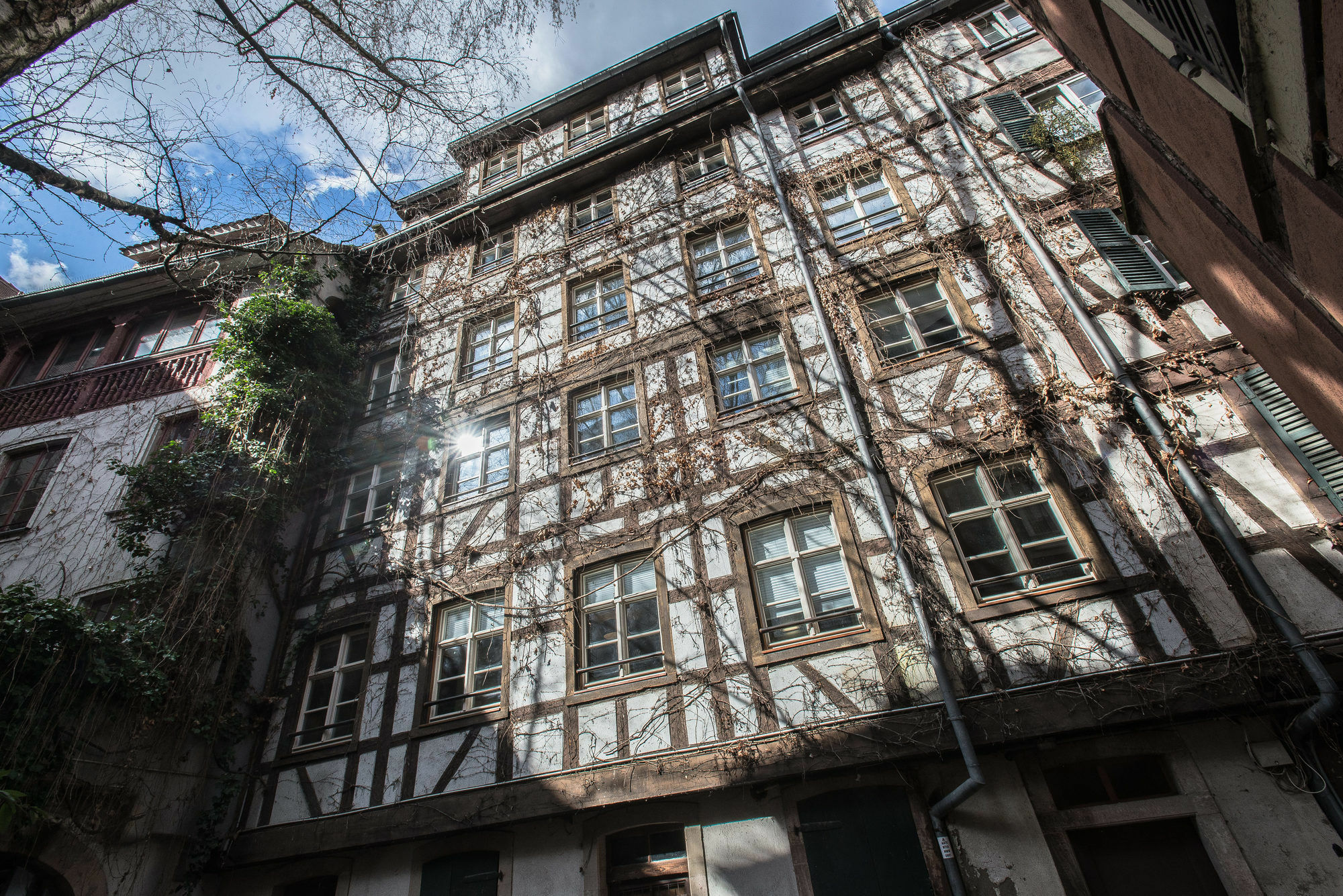 Appartement Des Moulins Strasbourg Kültér fotó